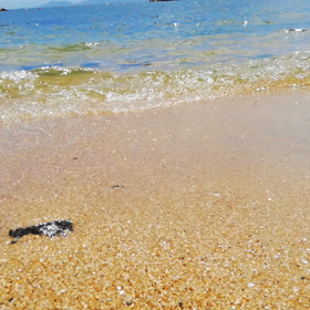 思い立ったが吉日～アーシングの画像