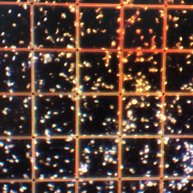 本日日曜診療のため、精液測定をの画像