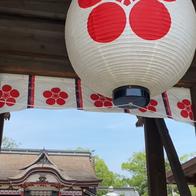 恋の木神社☆ご紹介動画✨♡守り絵の良いこと報告♡１１２ご感想ありがとうございます(^^の画像