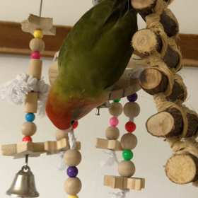 あけましておめでとうございます。の画像