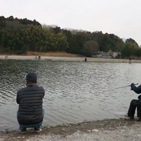増井養魚場釣行　後編の画像