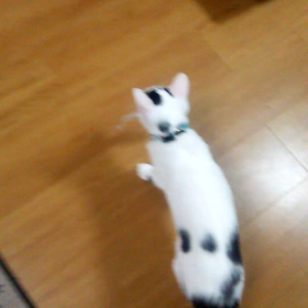 本当に今年は‼(´Д｀)の画像