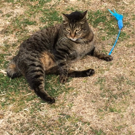 docomoに解約手続きに行ってきたんですがね…の画像