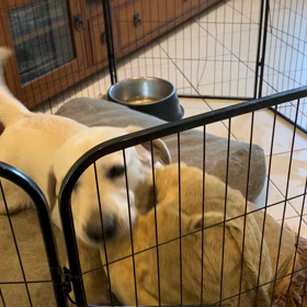 触り甲斐がありますの画像