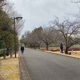 越谷春季記録会男子リレー選考会⑨の画像