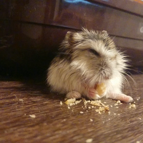 真冬の独り言②の画像