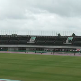 男子６年1000m１組目②の画像