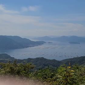 そうだ‼️山に行こう‼️の画像