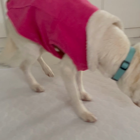 毎日忙しくしてますの画像