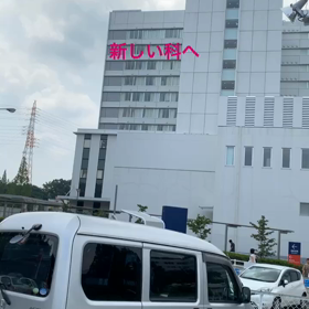 新しい科への画像