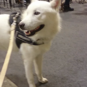 オレの声の画像