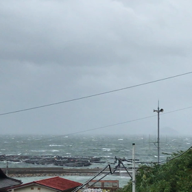 島で缶詰の画像