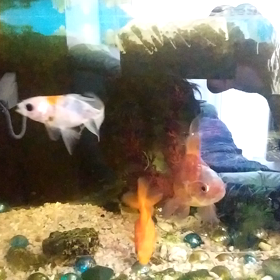 休日の朝、典型的な…の画像