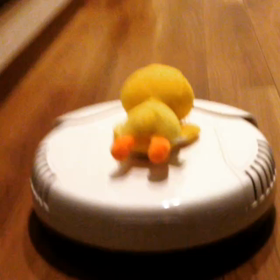 ルンバもどきと、ひよこの散歩の画像