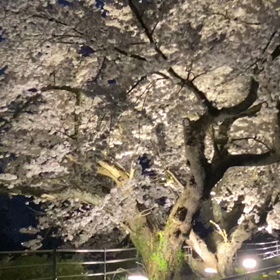 4月美容出張日程の画像