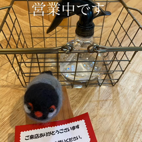 感染防止に努めての画像