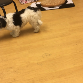 最後にフリーズする事件が！！の画像