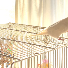 今年も宜しくお願いします！の画像