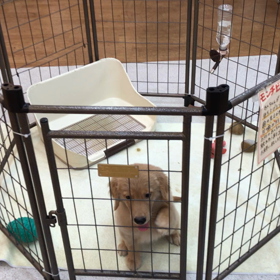 今日の店内の画像