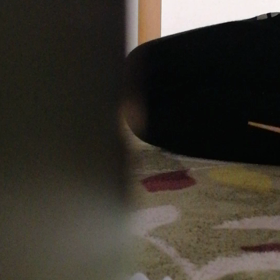 全やっちんが泣いたの画像