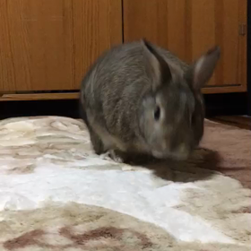 さ、探検に行くぞの画像