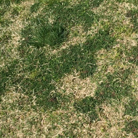 おはよっ！って言う  (o^^o)の画像