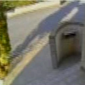 北側をギリギリ真っ直ぐ散歩。犬はリードの合図通り。の画像