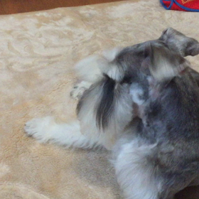 レモの歌声の画像