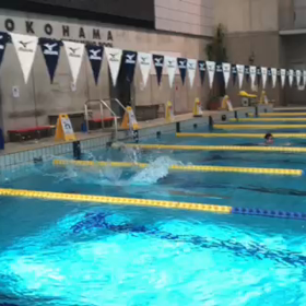 クロール25mへの道の画像