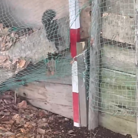 すっかりご無沙汰してしまいました（汗）の画像