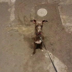 今日のマー君！☺️の画像