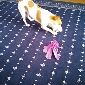 一人遊びの画像