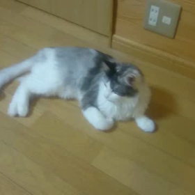 平日簡単更新三日目の画像