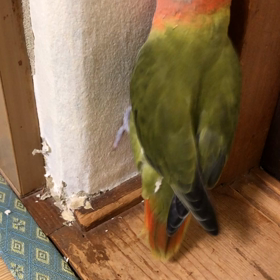 在宅勤務の画像