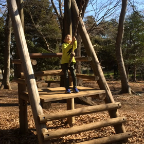 帰りは森の公園で少し遊びました(๑˃̵ᴗ˂̵)の画像
