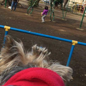 【動画】チロちゃんとブランコ♪の画像