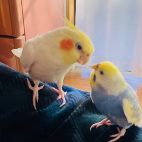 2022年元旦の画像