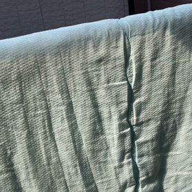 まったり土曜日の画像