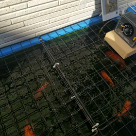 最近地震が多いの画像