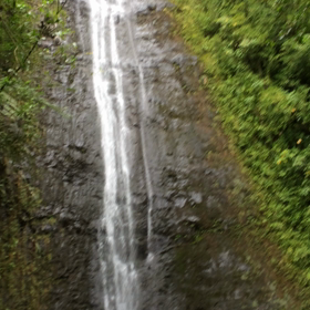 マノアの滝その2 - 動画の画像