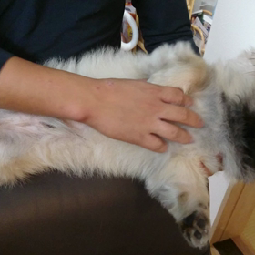 王子さま抱っこの画像