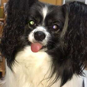 良い顔かな？の画像