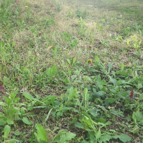 おわかりいただけただろうか…の画像