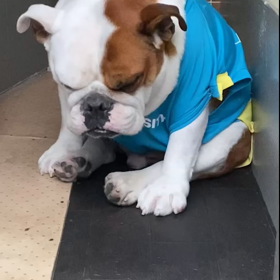 眠いのに頑張るの画像