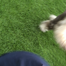 ランなうぇいの画像