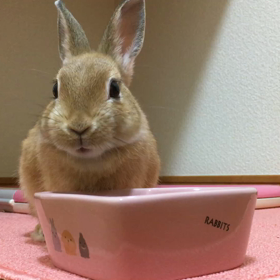 良い音させながら。の画像