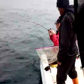 鼠ヶ関 真鯛釣行記 part４の画像