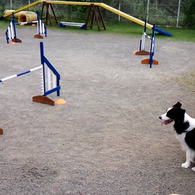 レッスンの画像