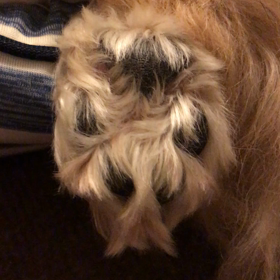 娘、里帰り中の画像