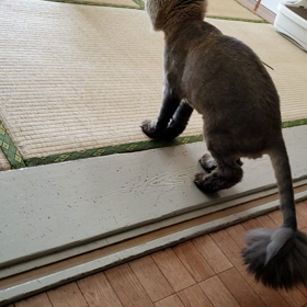 モジモジナナちゃんの画像